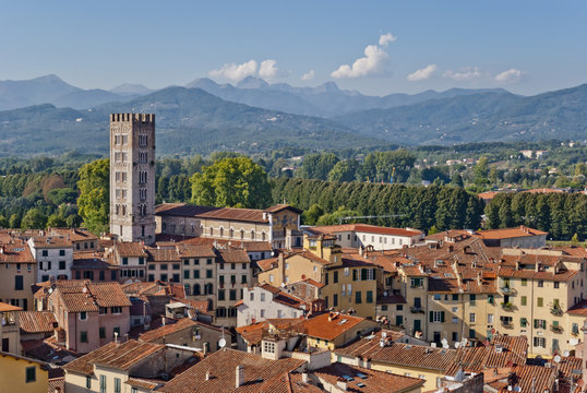 Lucca Panoramic View, Tuscany, Italy