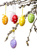 easter eggs on a spring branch isolated