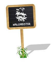 Waldmeister Schildchen Vektor