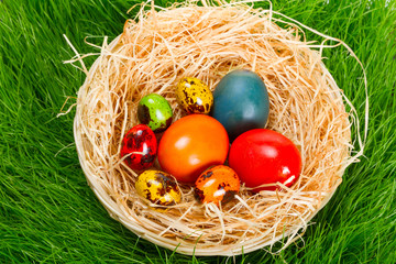 Colorful painted easter eggs in nest over the grass