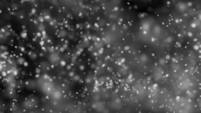 Snowflakes, Shallow DOF - Intense Snow Video Background Loop
