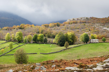 Fototapeta na wymiar mały domek i krów na pastwiska górskie