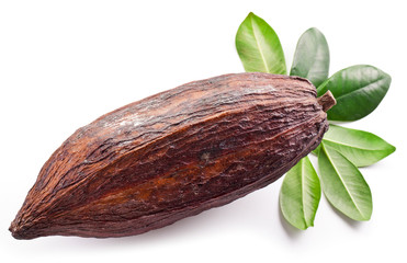 Cocoa pod