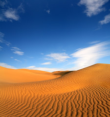 Fototapeta na wymiar krajobraz pustyni wieczór