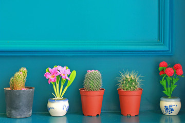Small cactus with flower decorated on green wall
