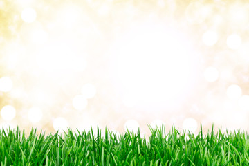 Obraz premium Hintergrund Wiese