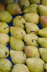 Green pears
