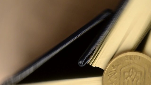 50696688