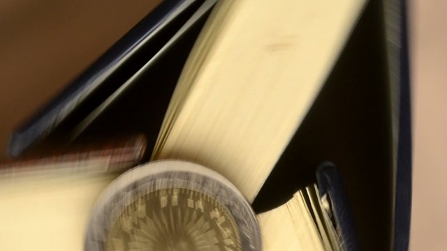 50699406
