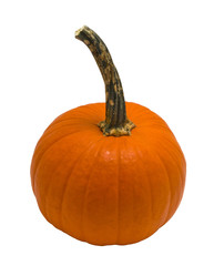 Spherical orange pumpkin with stem over white