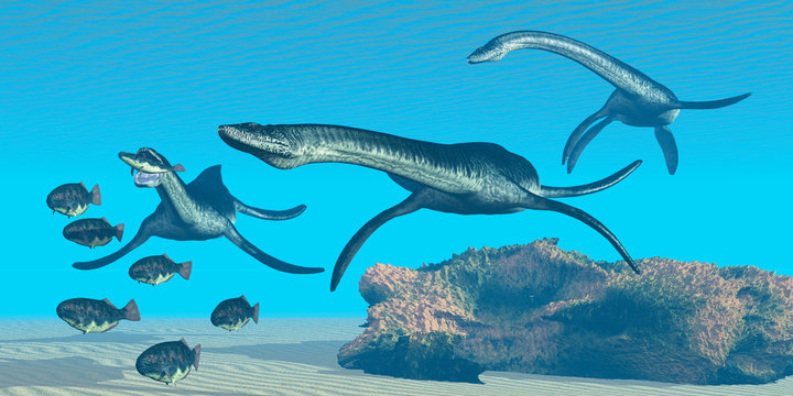 Plesiosaurus Ocean