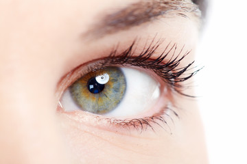 Fototapeta premium Woman eye.