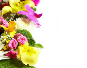 Floral greeting card with beautiful flowers.