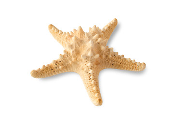 Starfish