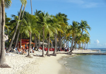 caribbean beach scenery
