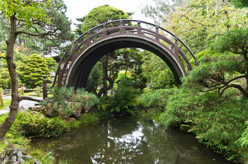 bridge à Japanese garden (San Fransisco)