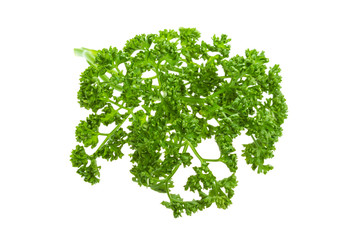 Parsley branch