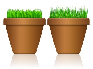 flowerpot with grass