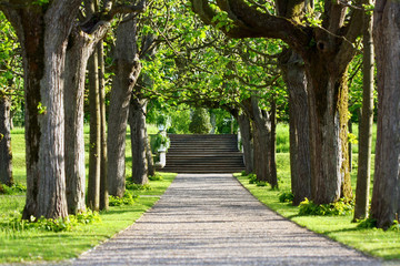 Park Path