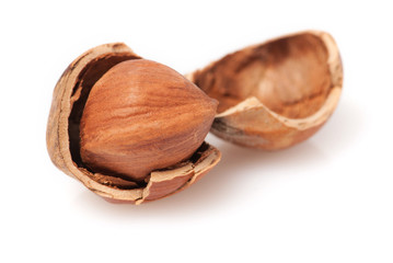 hazelnut
