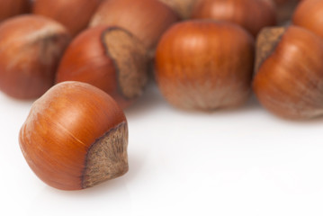 hazelnuts