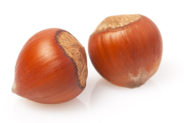 hazelnut