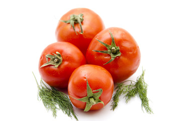 Frische Strauchtomaten