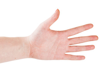 Hand gesture with 5 fingers