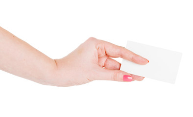 Obraz premium Hand hold blank business card