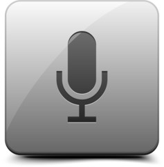 Microphone button