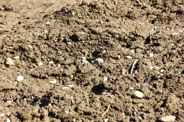 Arable land