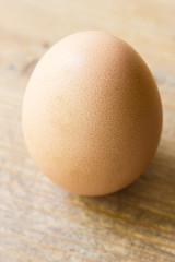 Egg