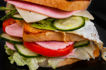 sandwich isolated on black background