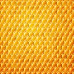 Vector Background with Honeycombs