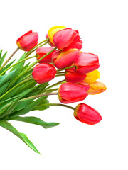 Obraz premium bouquet of tulips isolated on white background. vertical photo.