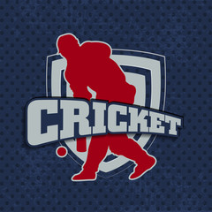 Cricket batsman in playing motion, sports concept.