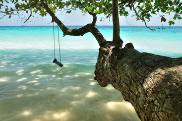 A swing on the beach at Similan island, Thailand.