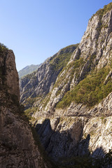Fototapeta na wymiar canyon, Montenegro