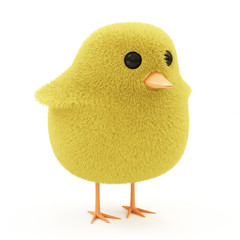 Easter Little Chicken isolated on white background