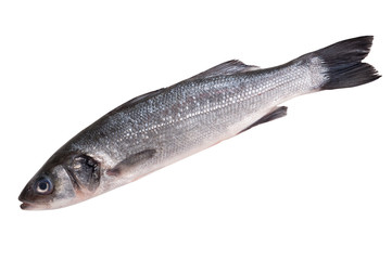 raw seabass