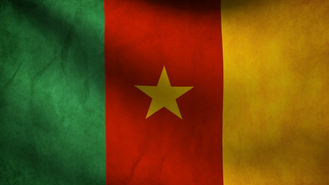 Cameroon flag.
