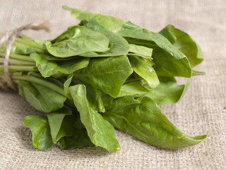 fresh spinach