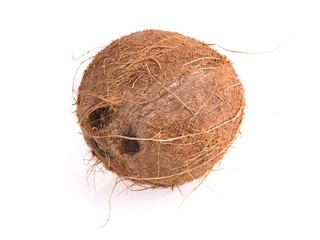 coconut