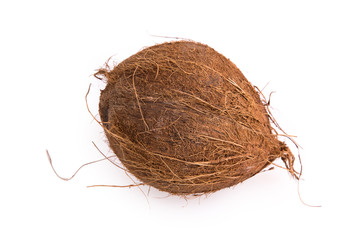 coconut