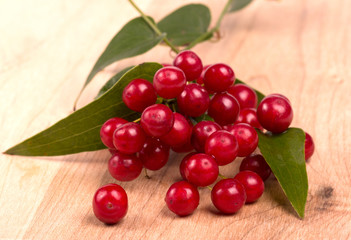 Red berries  on wood