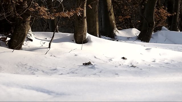 Schneeverwehungen