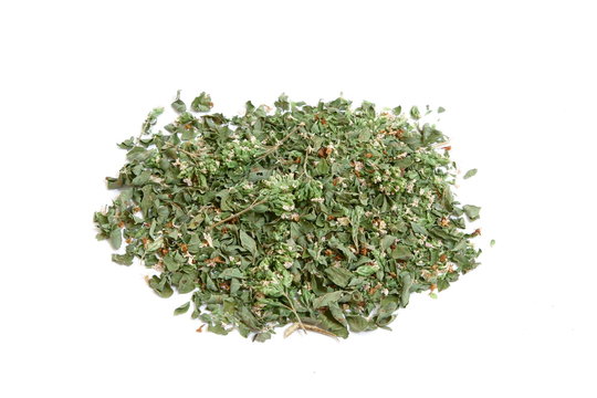 Foglie e fiori di origano  - Leaves and flowers of Oregano