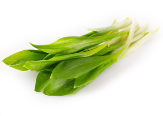 Fresh ramson
