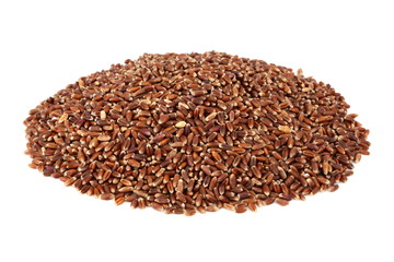 brown oat grain