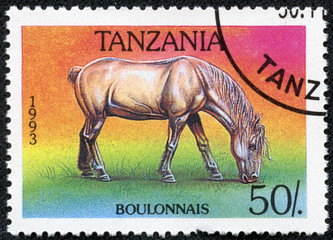 stamp printed in Tanzania shows Bulon horse